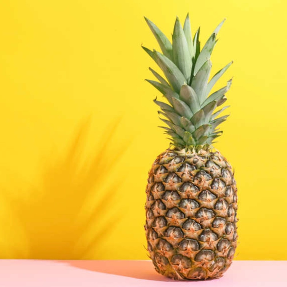 Meet your Posher, Ernie